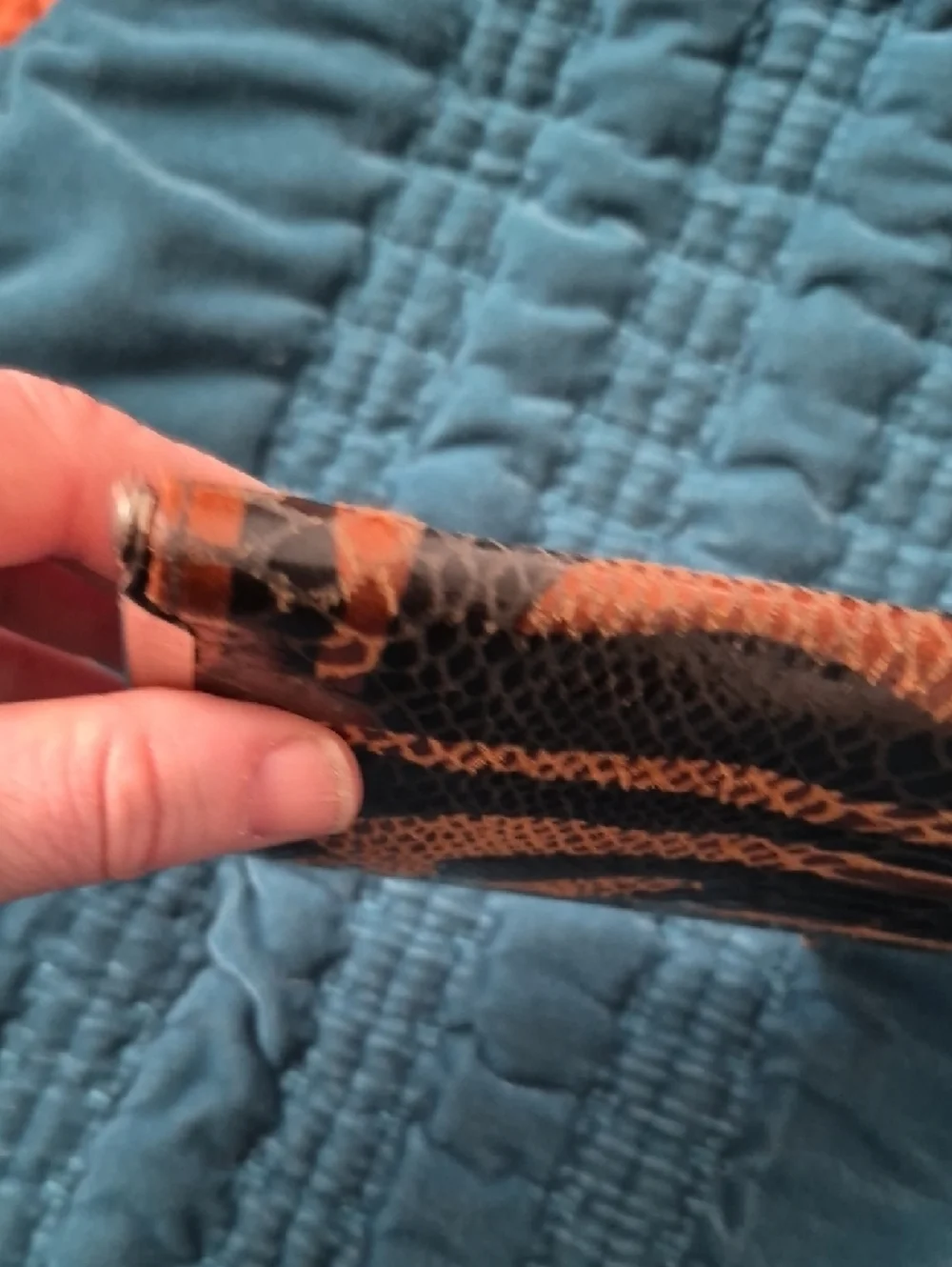 Animal Print Kiss-Lock Clutch Wallet in Brown and Black Faux Vegan Leather